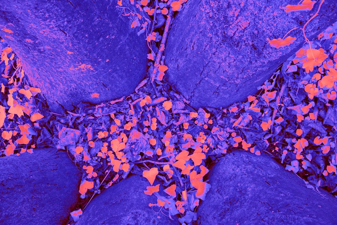 Photo Biotin Gastric Bypass